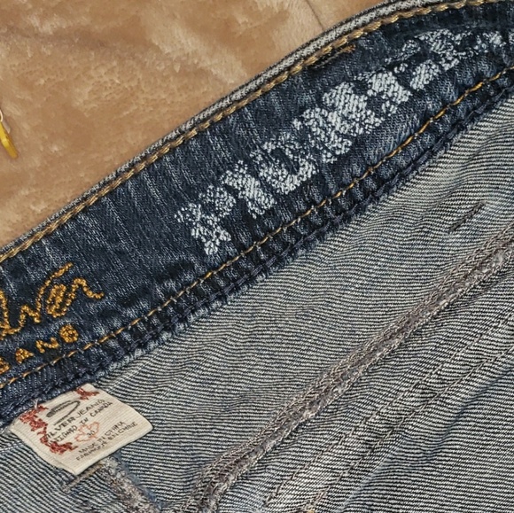 Pioneer by Silver  30x33 - Picture 6 of 8